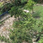 南投土地借錢專家草屯當舖,南投房屋借錢,南投汽車借錢,南投收購手錶,南投黃金借錢請找草屯當舖